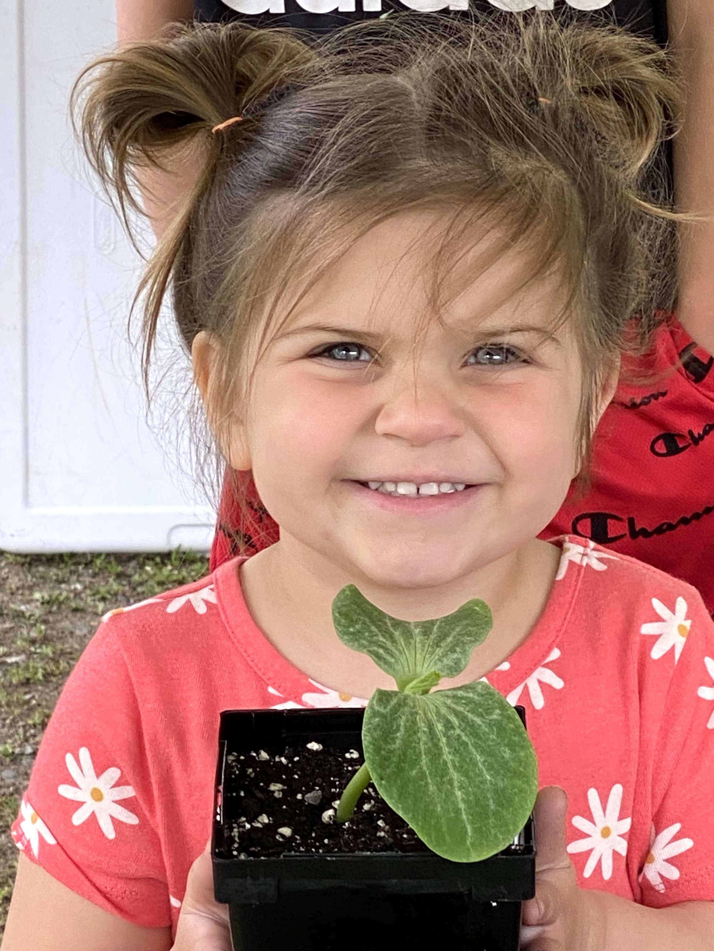 Seedling Sunday