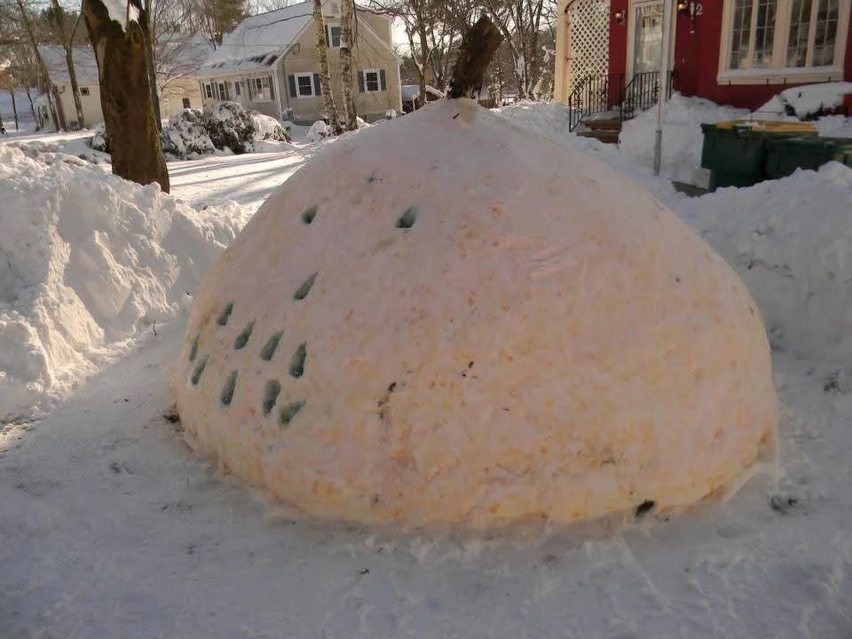 ❄️🎃 We know&hellip; it&rsquo;s officially the holiday season in Maine.

Lobster trap Christmas trees are popping up in harbors.
Buoy trees are lighting up the coast including that massive, record-setting buoy tree in Addison that lit up last night.
