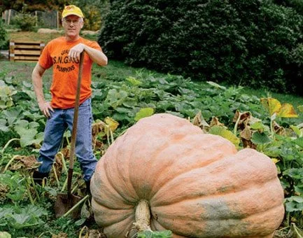 🎃 Time Warp Tuesday  Breaking the 1,000 Pound Barrier 🌍

There was a time when a 1,000-pound pumpkin felt impossible.

Then came the year 2000.

Right here in New England, grower Steve Connolly changed the game by growing a pumpkin that weighed 1,0