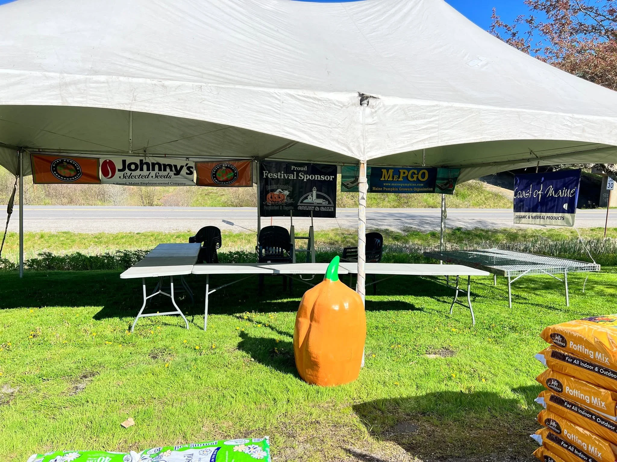 🎃🌱 TODAY IS THE DAY! 🌱🎃

Seedling Sunday is finally here!

Today is your chance to come adopt your future giant pumpkin plant and officially kick off the 2026 growing season with us at Pumpkinfest.

📅 TODAY &mdash; May 17th
⏰ 9 AM &ndash; 1 PM
?