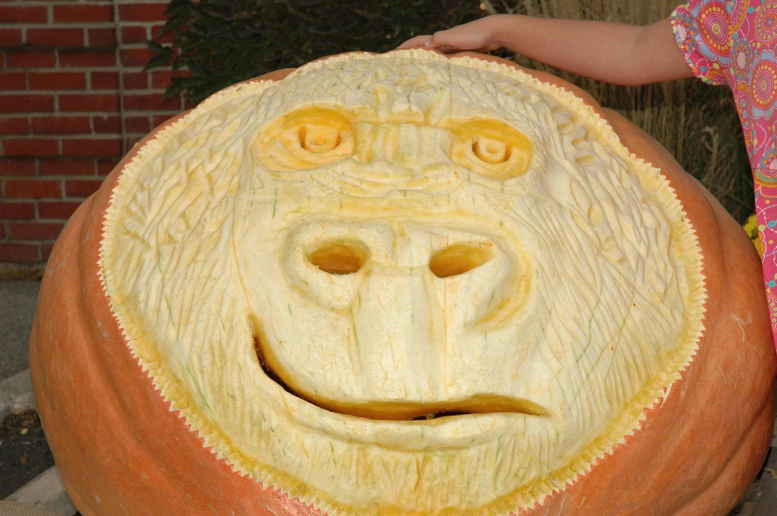 Pumpkinfest 2007 0014.JPG