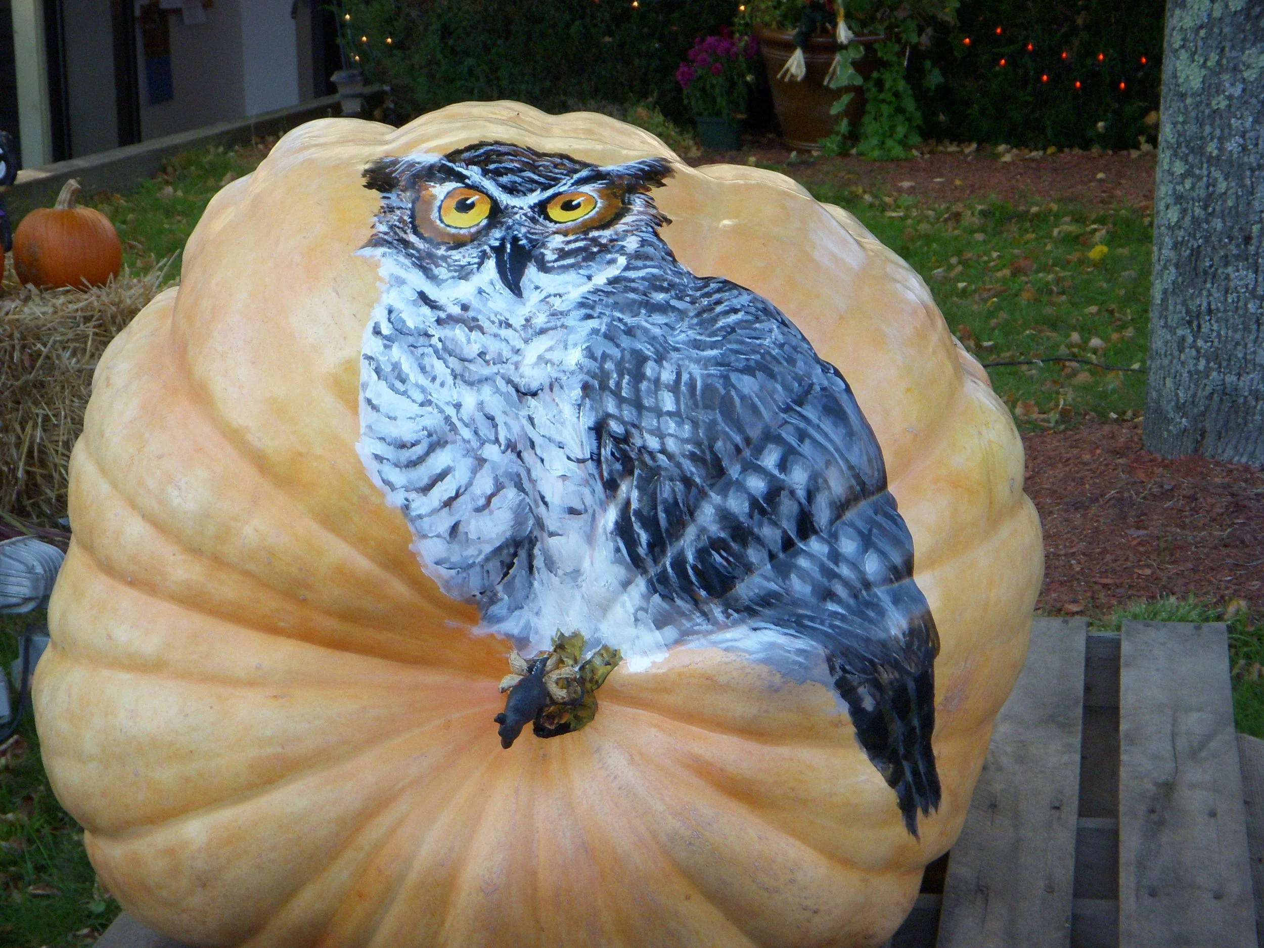 Pumpkinfest 2008 016.JPG