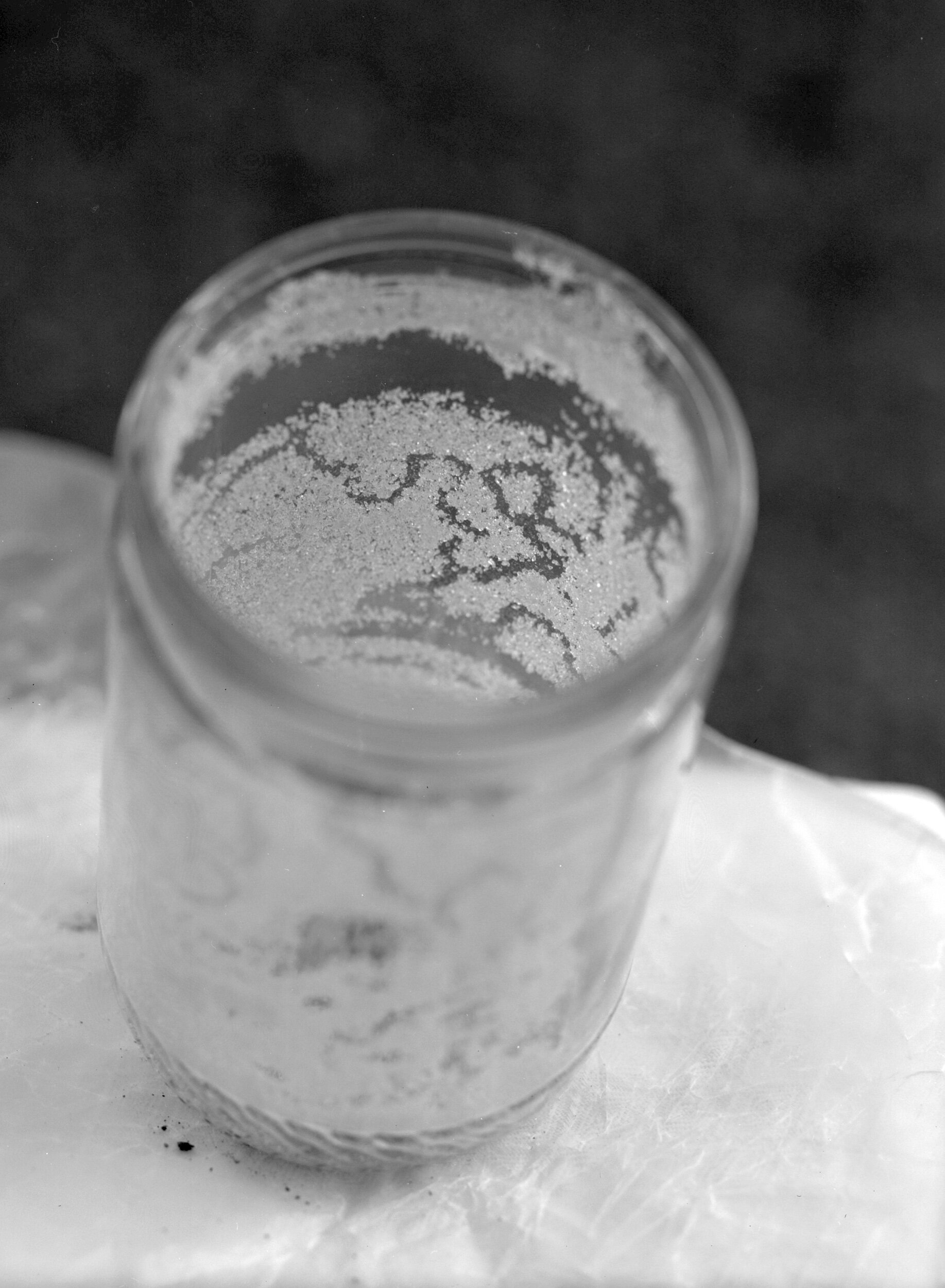 trail in sugar jar_.jpeg