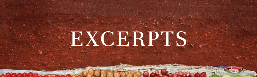 TIM WEBSITE - EXCERPTS BANNER.png