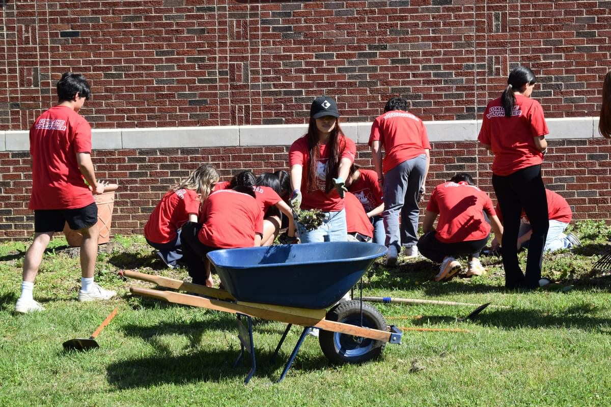 Community Volunteer Day — The Suzanne Grant Foundation