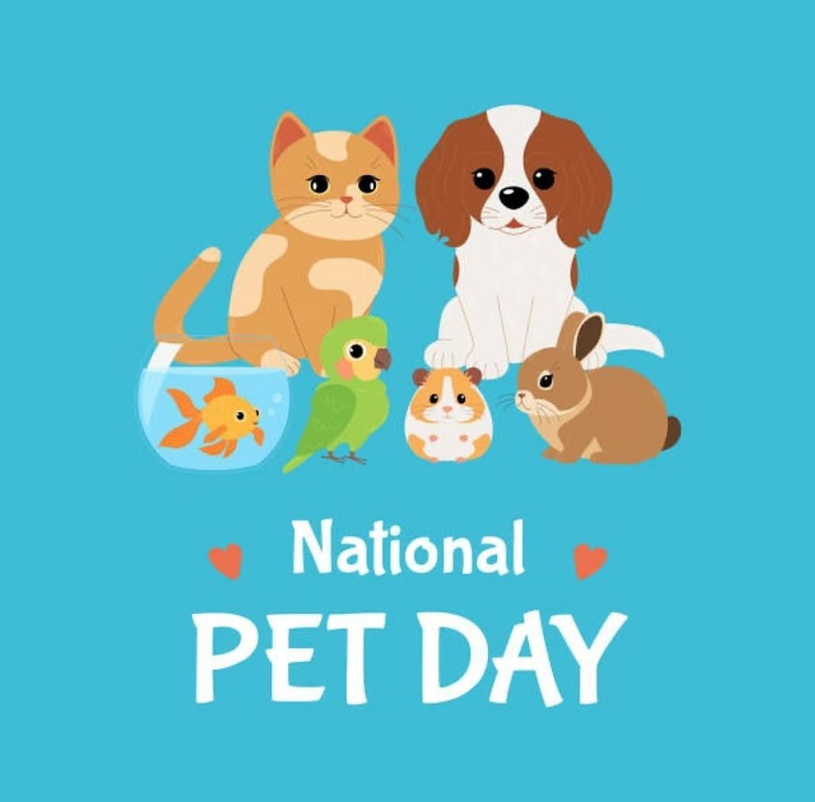 Happy National Pet Day! 🐾 Tell us about your pets! 

🐕🐈🐇🦔🐁🦜🦎🐢🐍

#nationalpetday #welovepets #exoticvet