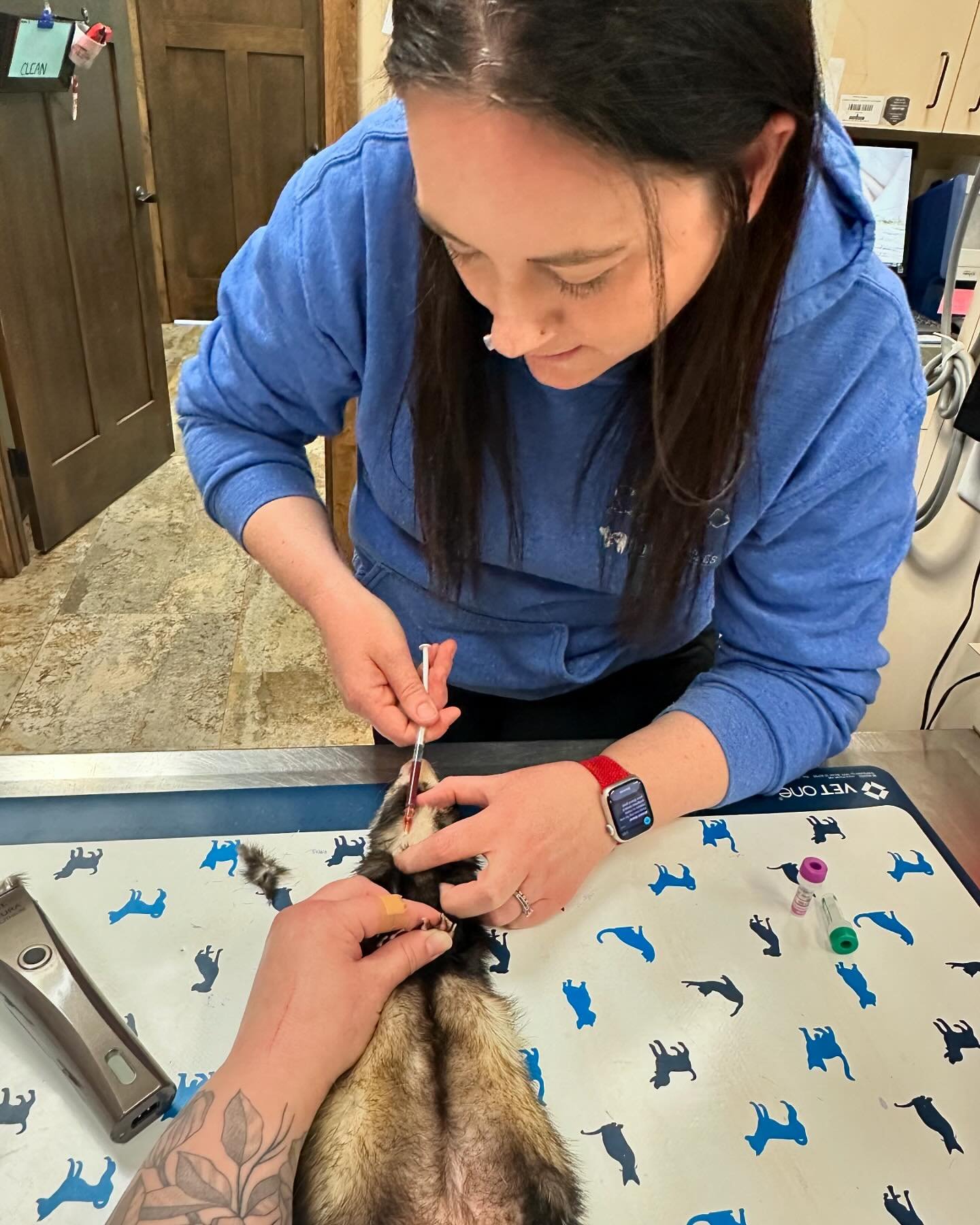 Thank you Holly &amp; Millie! 🩺 🐾 
#nationalvettechweek