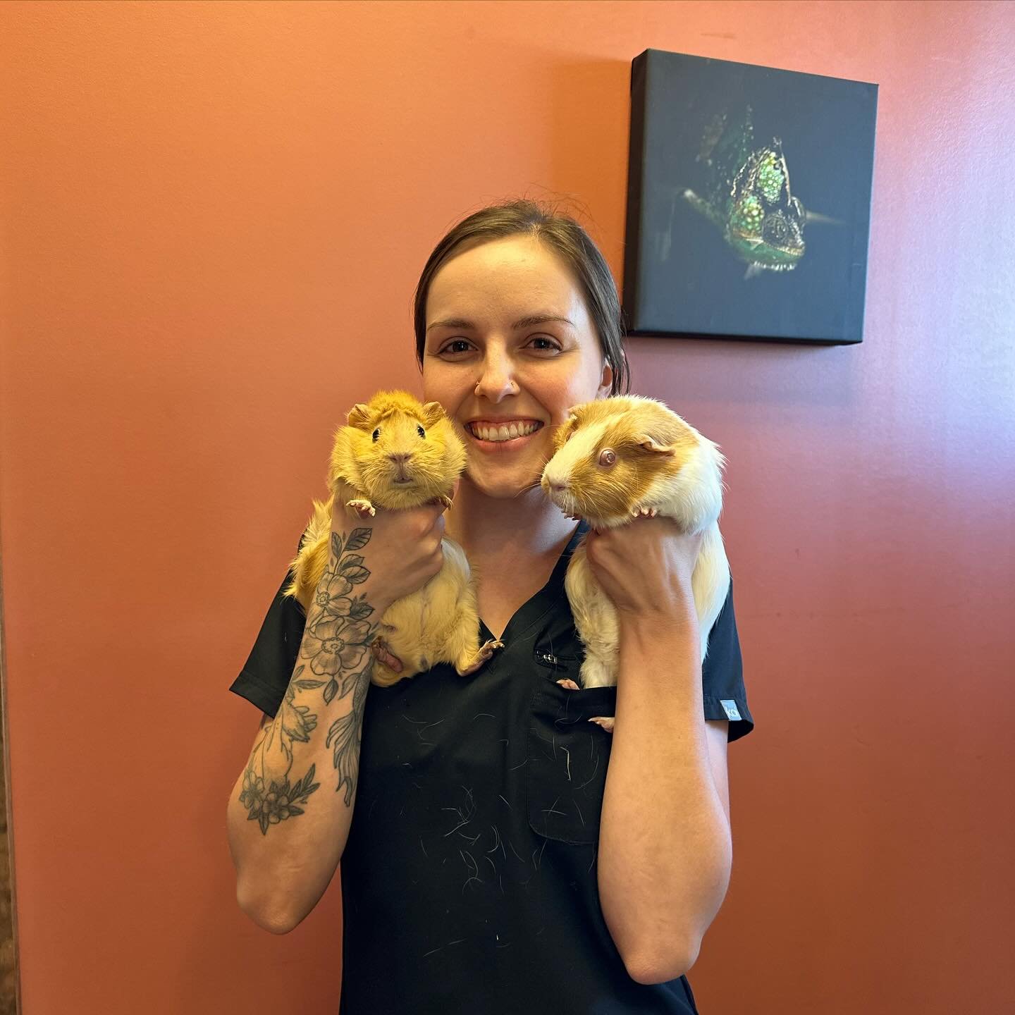 📸 Meet the Staff Monday!

Welcome Stephanie! One of our newest receptionists at LPC! 

⭐️ Pictured with her Guinea Pigs, Edith &amp; Elsie!