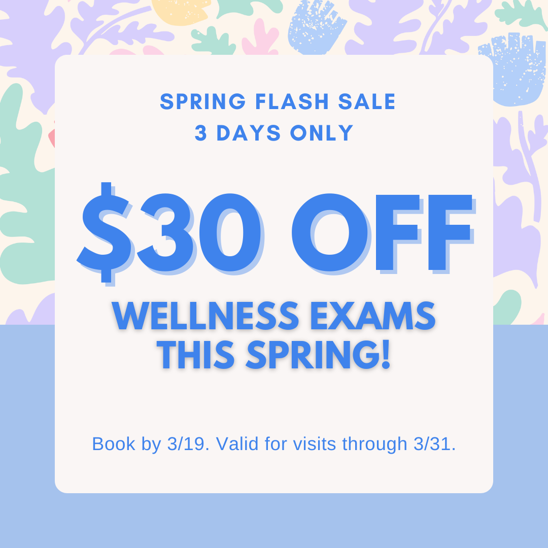 Spring Flash Sale 3 Days Only