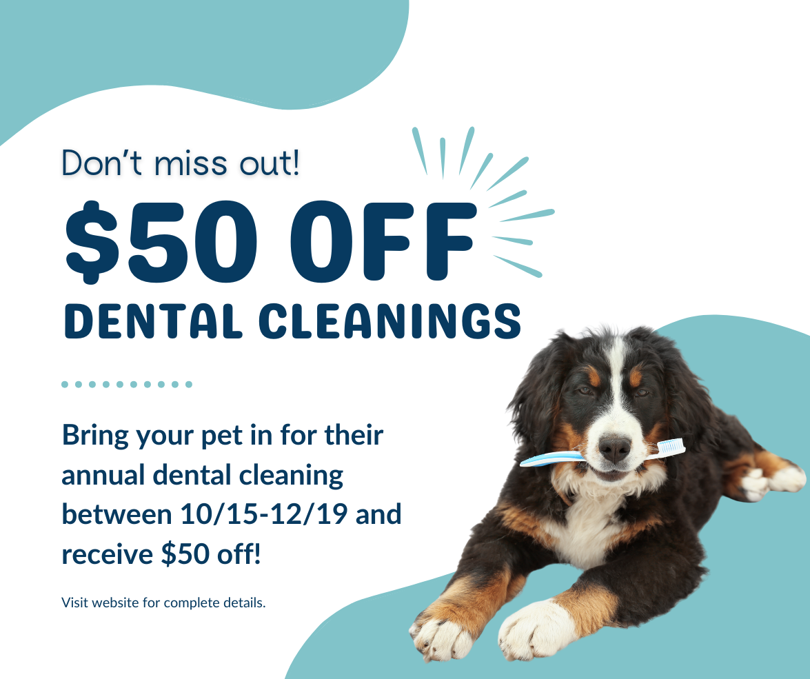 Lexington Pet Clinic