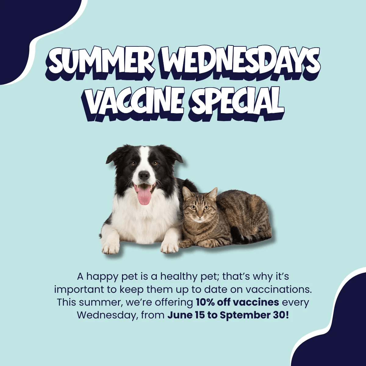 Website Graphic_ Summer Wednesdays Promo - Medium.png