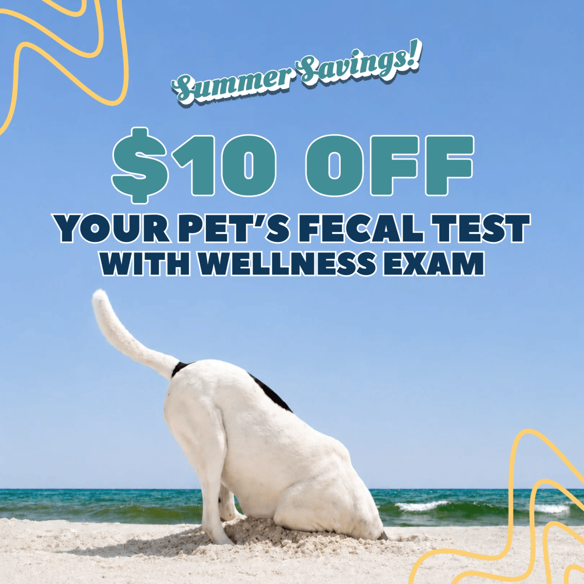Website_Fecal Compliance Promo - Medium.png