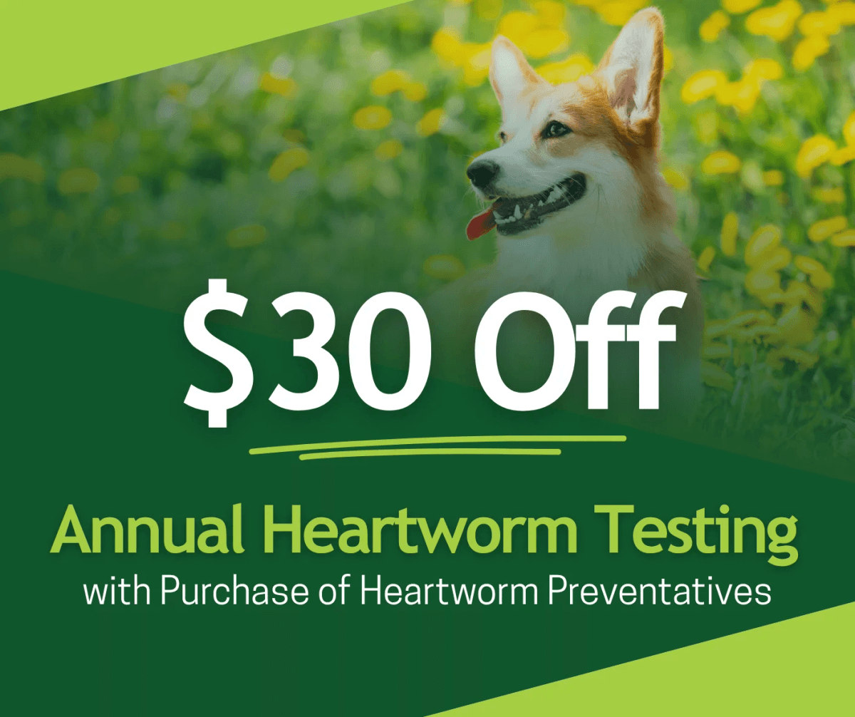 Web_Preventative Compliance_Dog - Medium.png