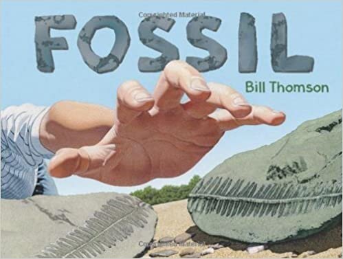 Fossil.jpg