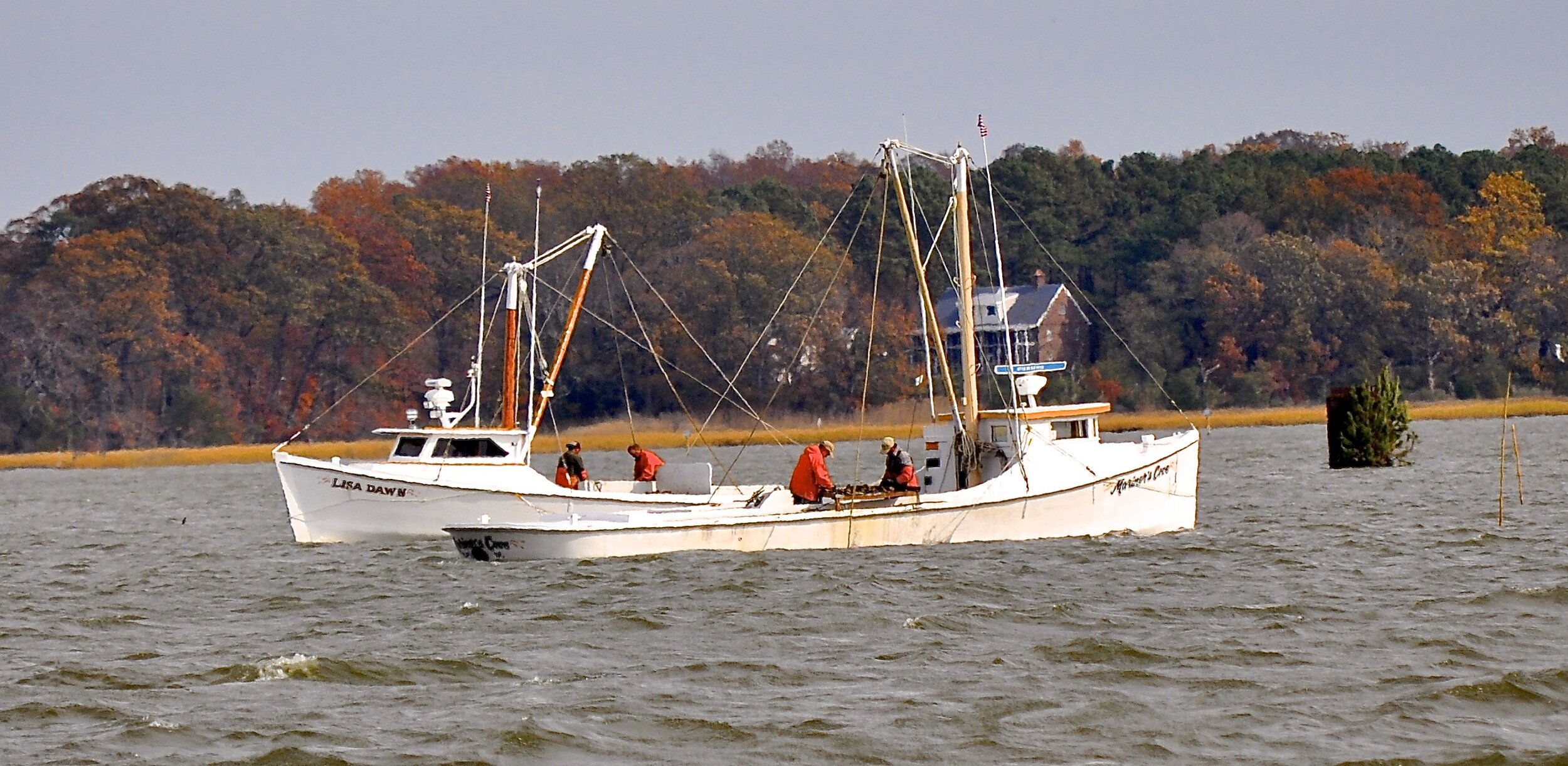 Nansemond River  Commercial Oyster Industry (1).jpg