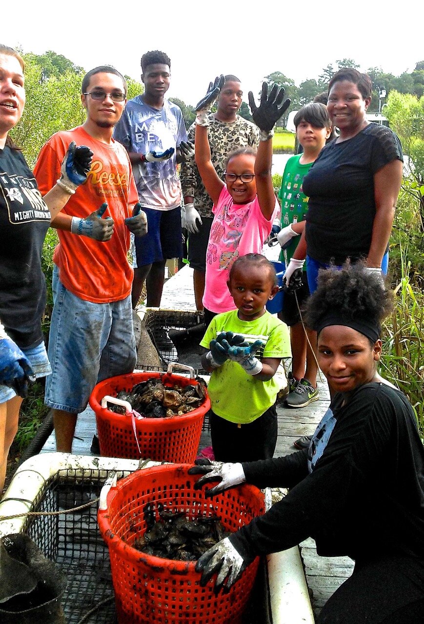 Volunteers cleaning and tranferring oyster shells for reef.jpeg