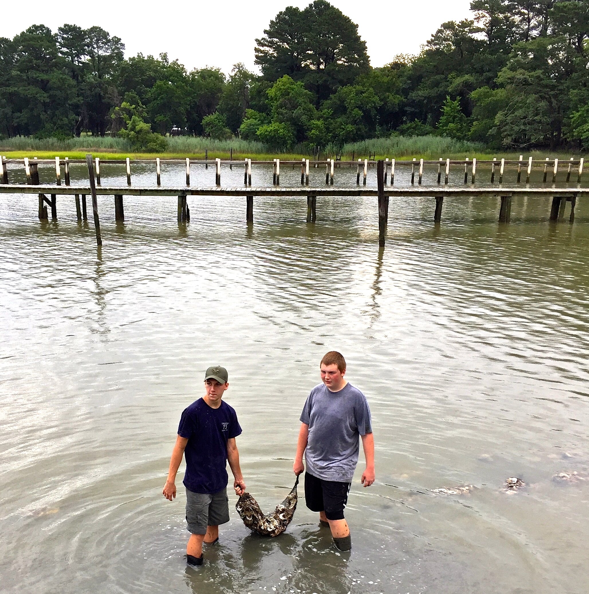 Volunteers creating the oyster reef.jpg