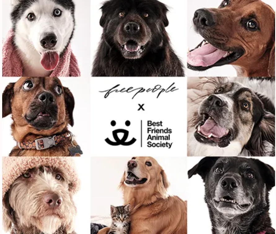 FP x Best Friends Animal Society