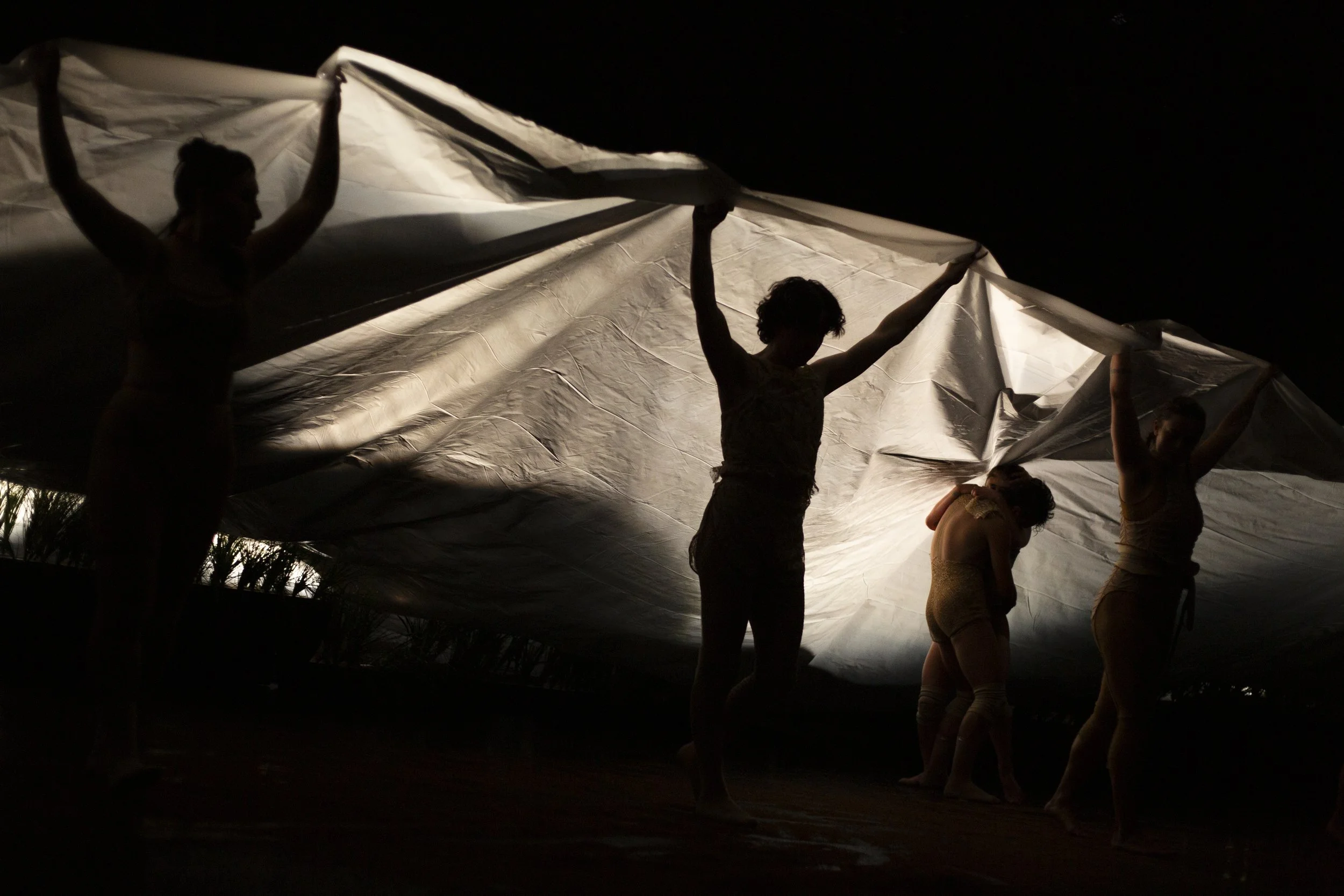 2025 WYSF Dress Rehearsal-TEH-0062.JPG