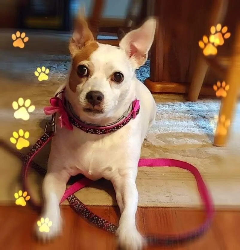 Ms. Priss - Kimberlee McClanahan