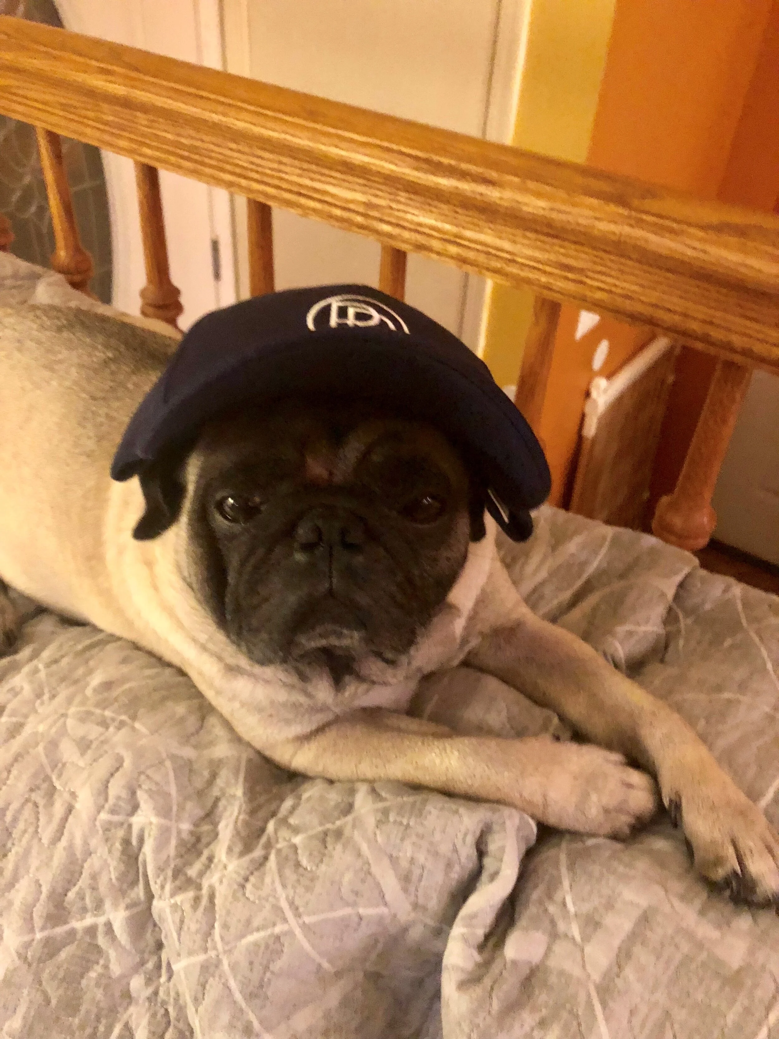 Lucky - Michele Braccelari 