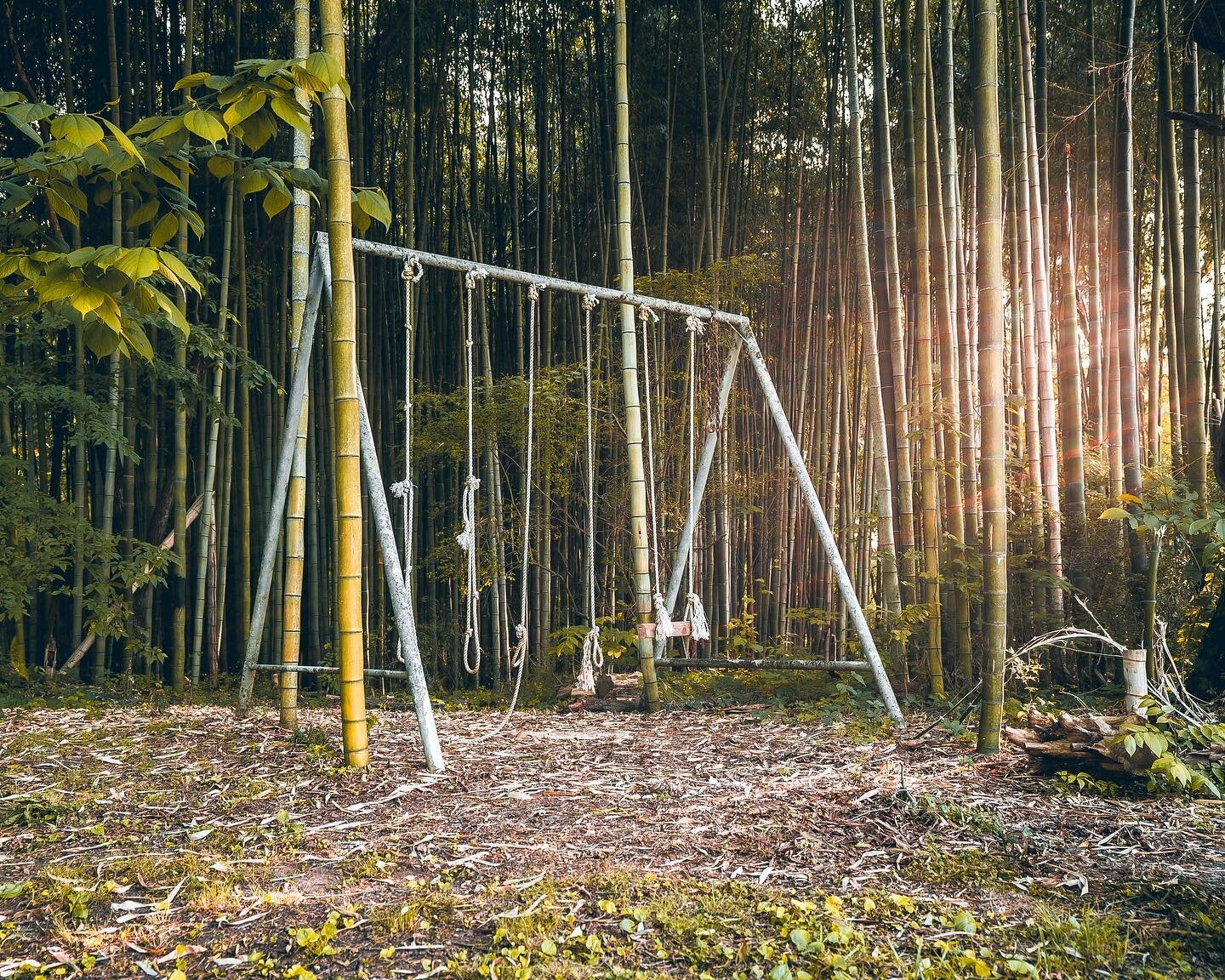 The most photogenic swing set I&rsquo;ve encountered. Its missing some of the swings but I still love this shot! 
.
.
.
.
.
.
.
.
.
.
#depthobsessed #ourvisualvibes #alabama #sweethomealabama #moody #bhamnow #exploretocreate #eclectic_shotz #thisisal
