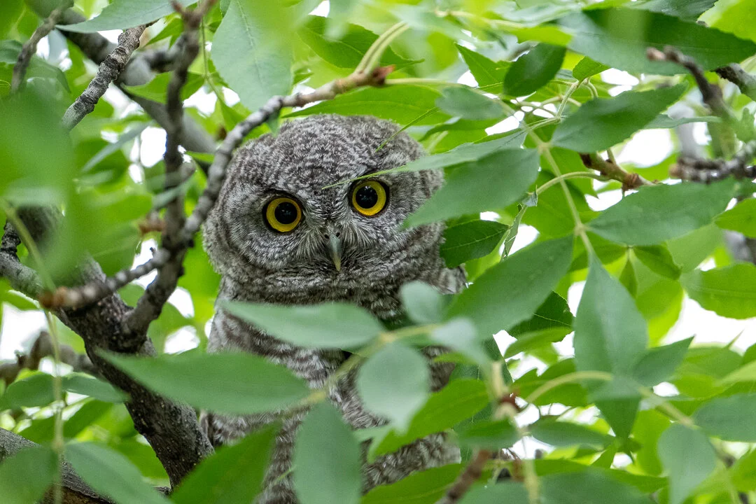 untitled-June 30, 2019-2.jpg