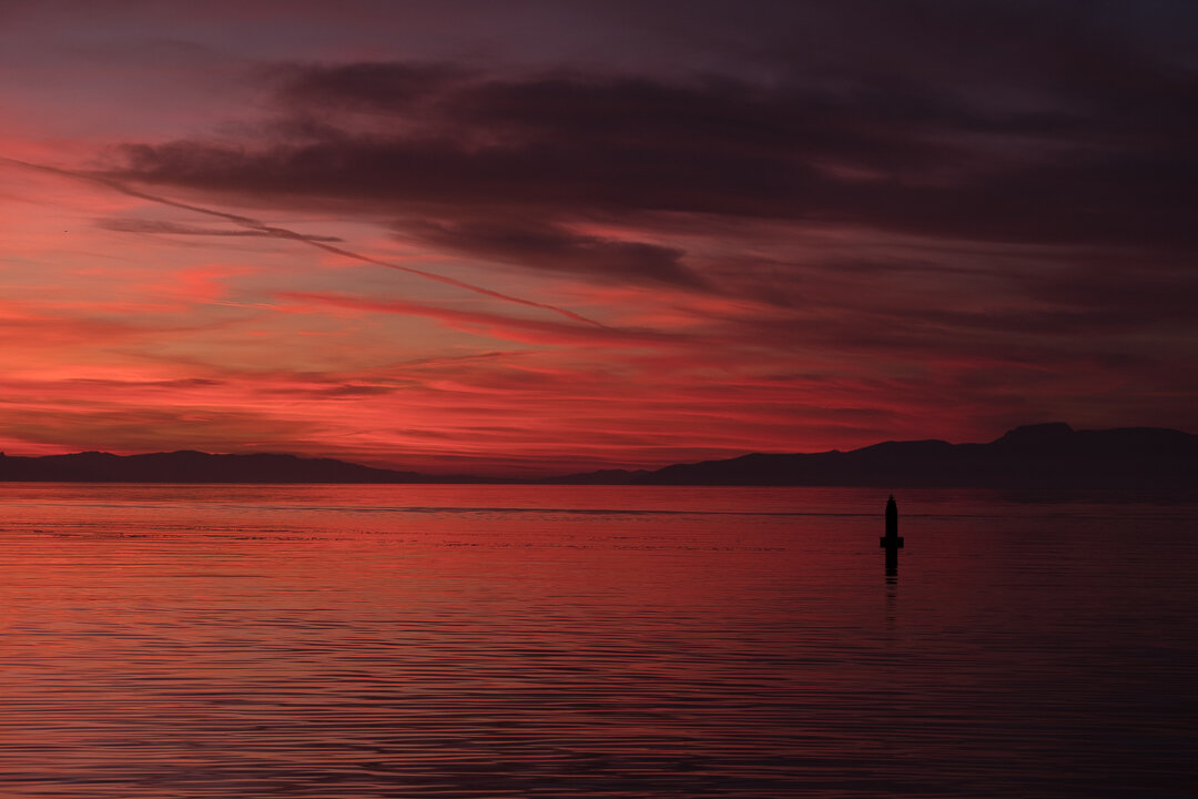 untitled-November 03, 2019-4.JPG