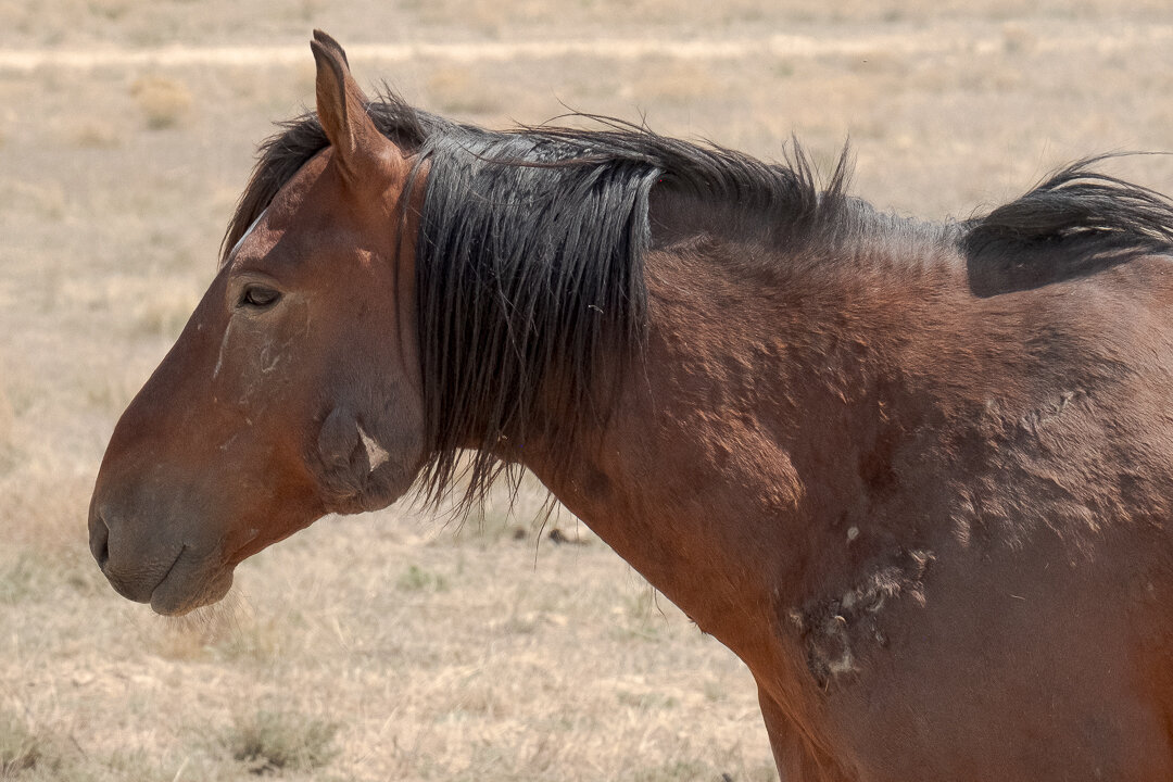 untitled-May 10, 2020-8.jpeg