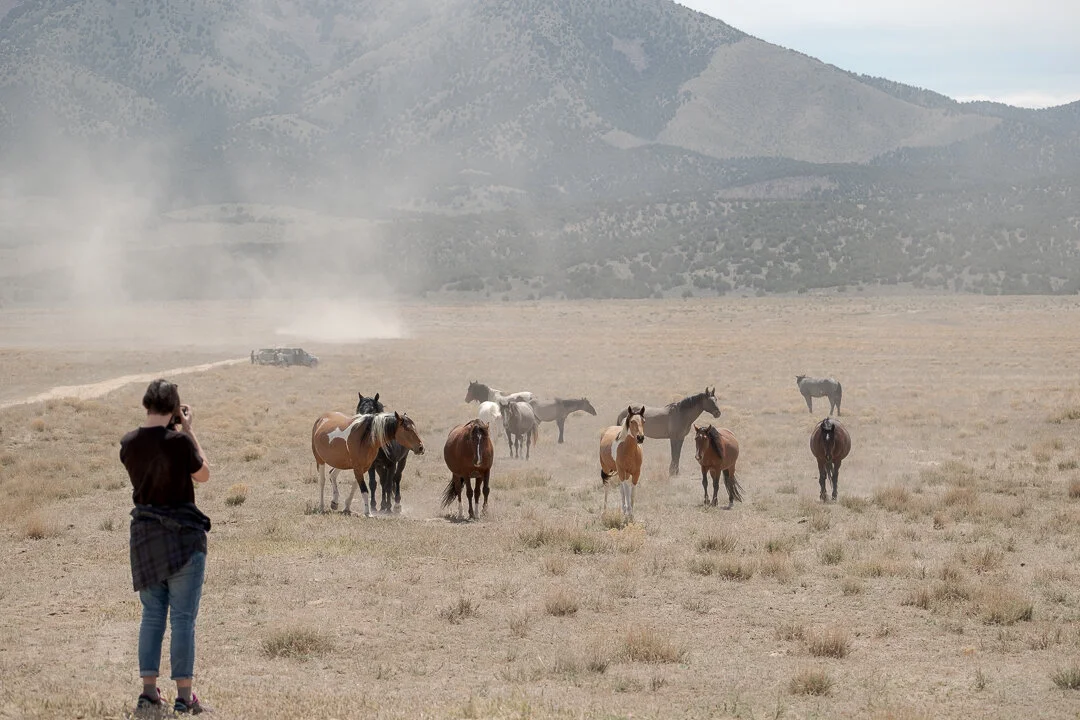 untitled-May 10, 2020-5.jpeg