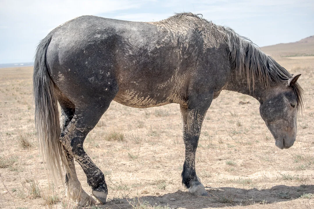 untitled-May 10, 2020.jpeg