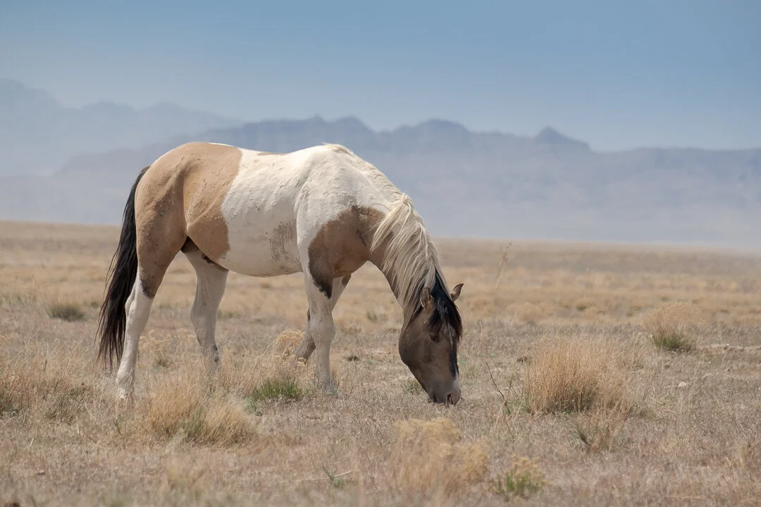 untitled-May 10, 2020-4.jpeg