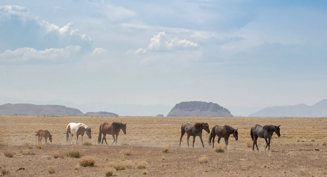 untitled-May 10, 2020-7.jpeg