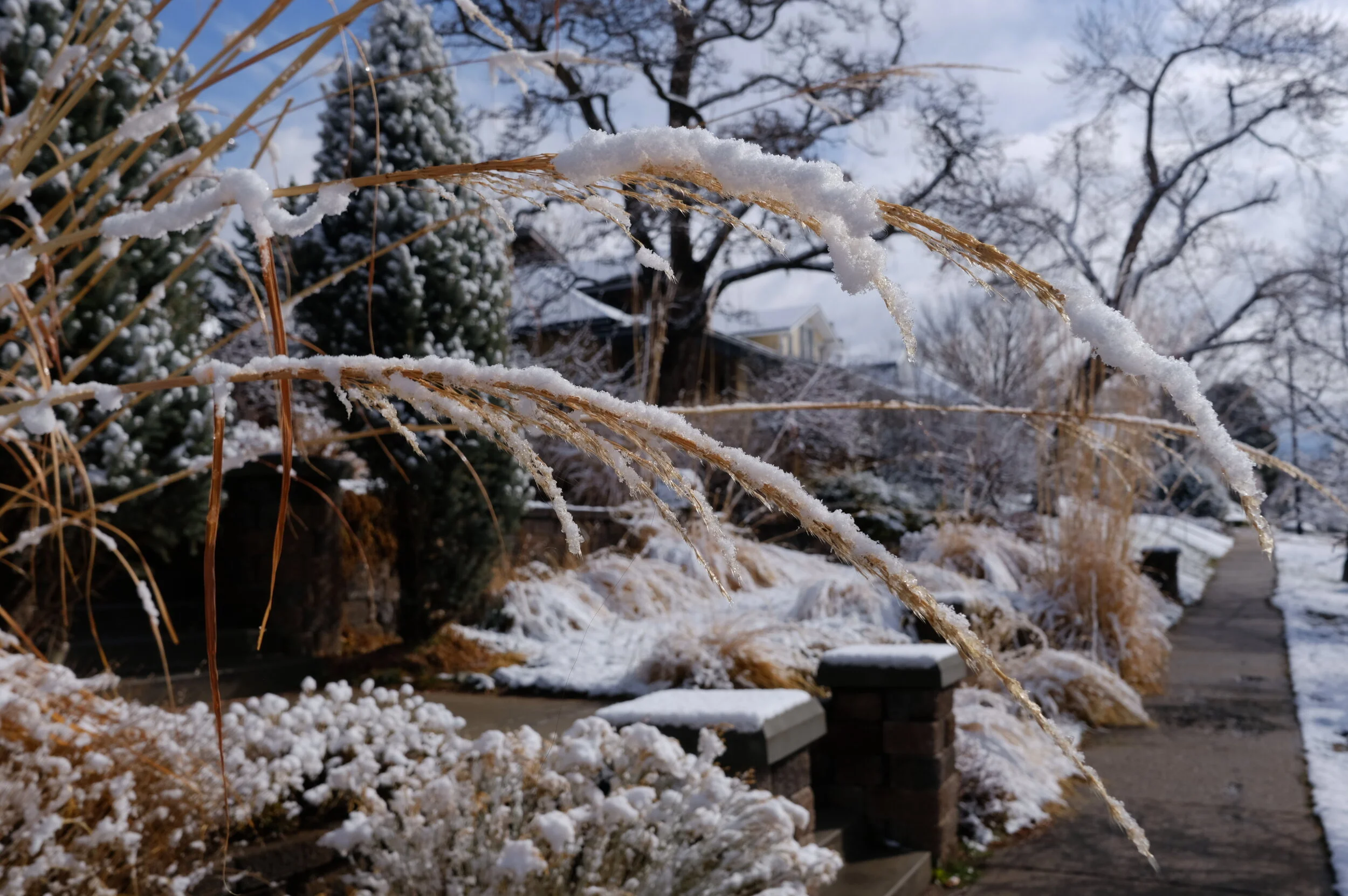 DSCF8786.JPG