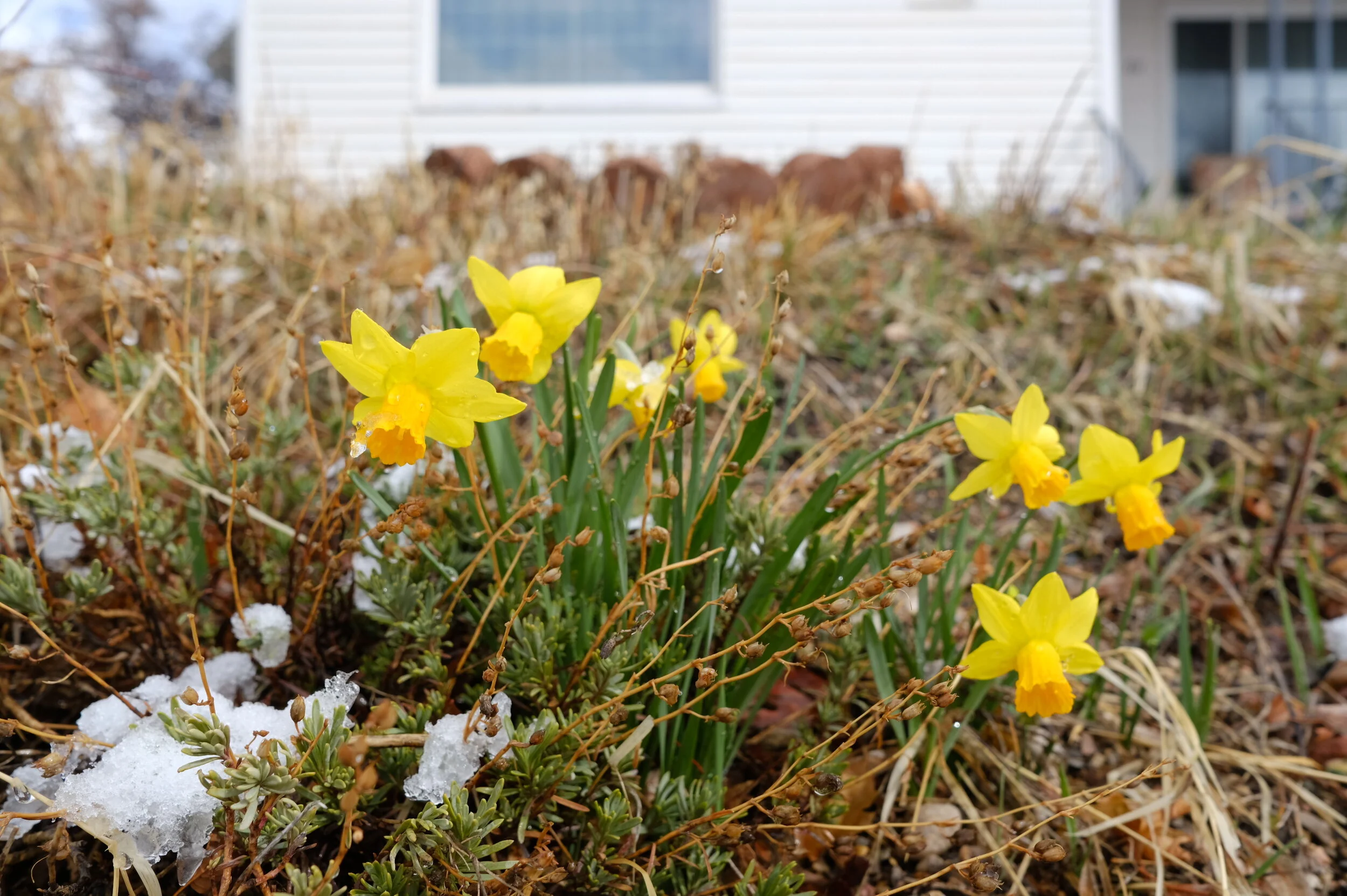 DSCF8796.JPG
