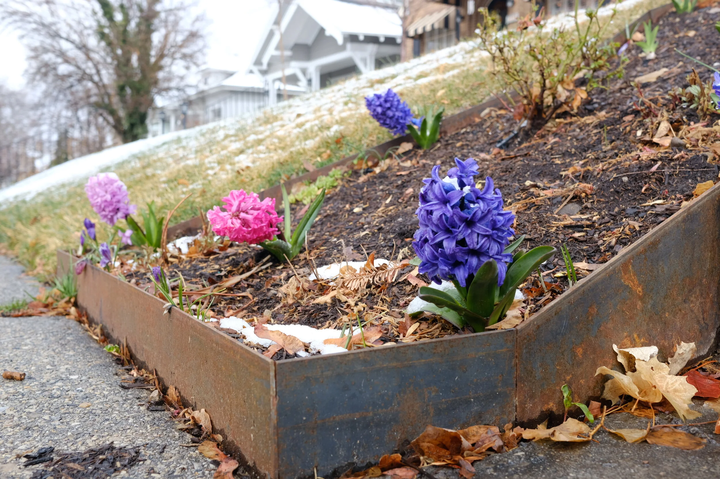 DSCF8790.JPG