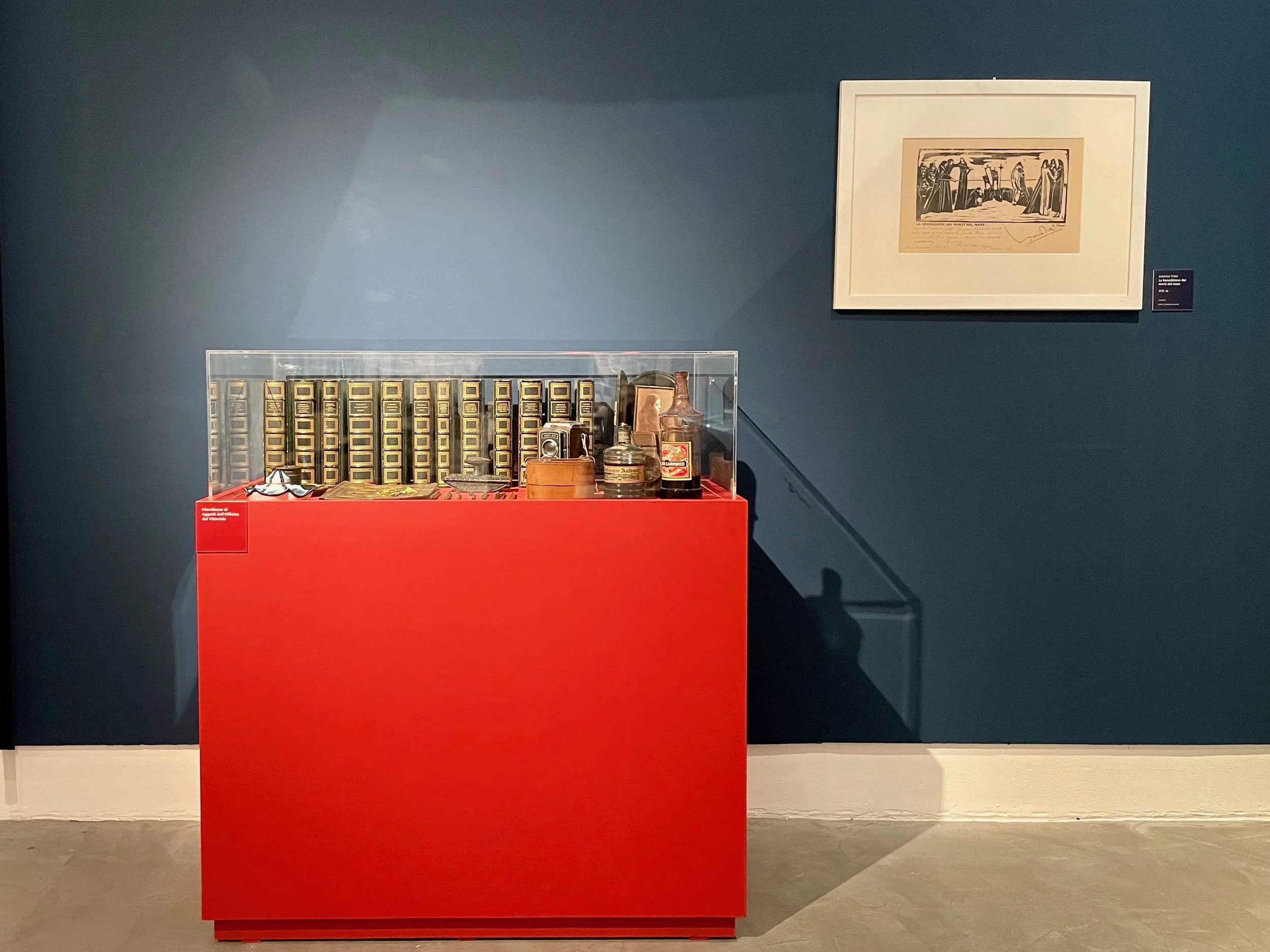 D'ANNUNZIO_VIANI_GAMC_ - 4.jpg