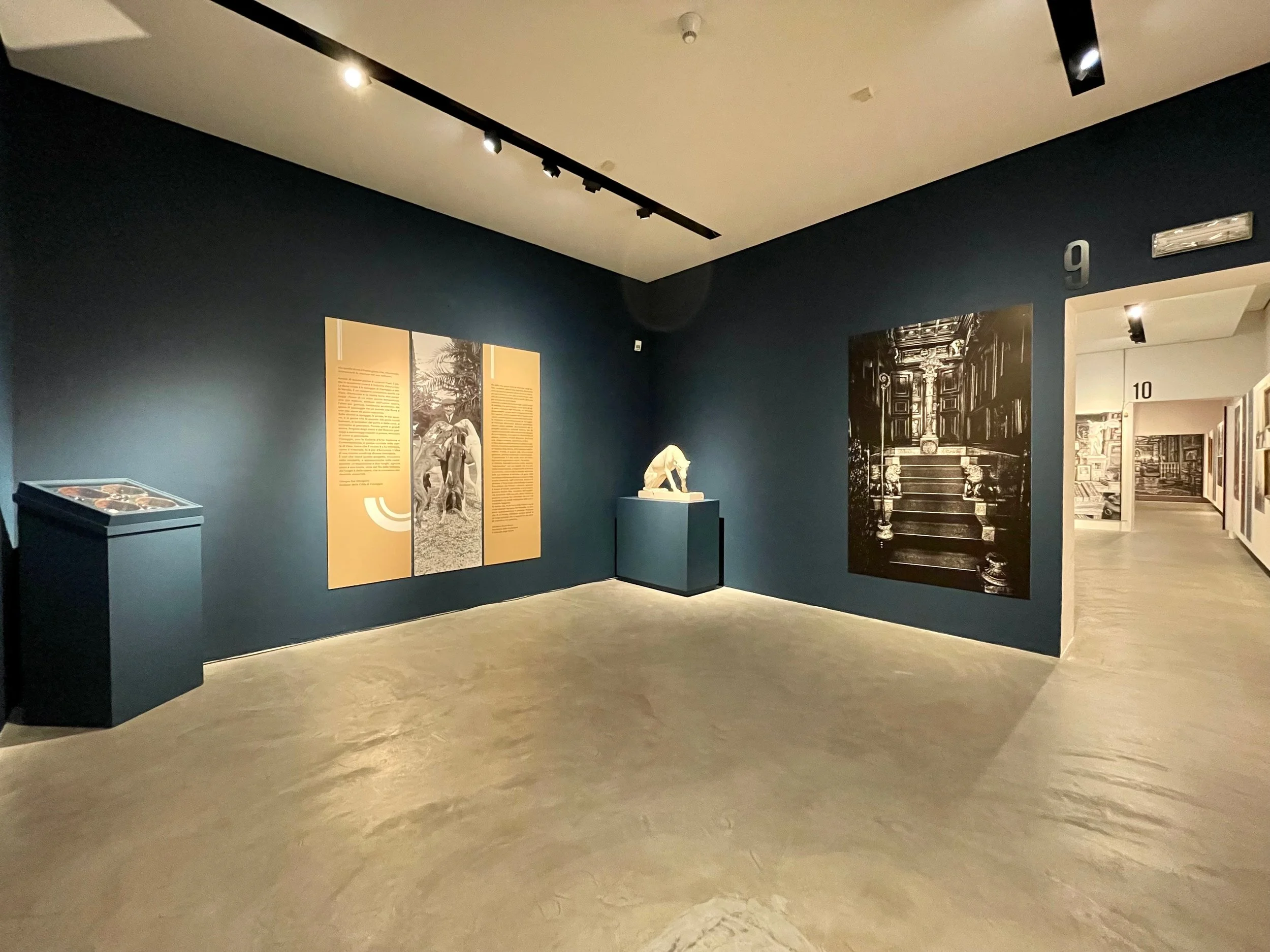 D'ANNUNZIO_VIANI_GAMC_ - 2.jpg