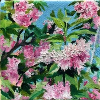 "Pink Flowers, Blue Sky"