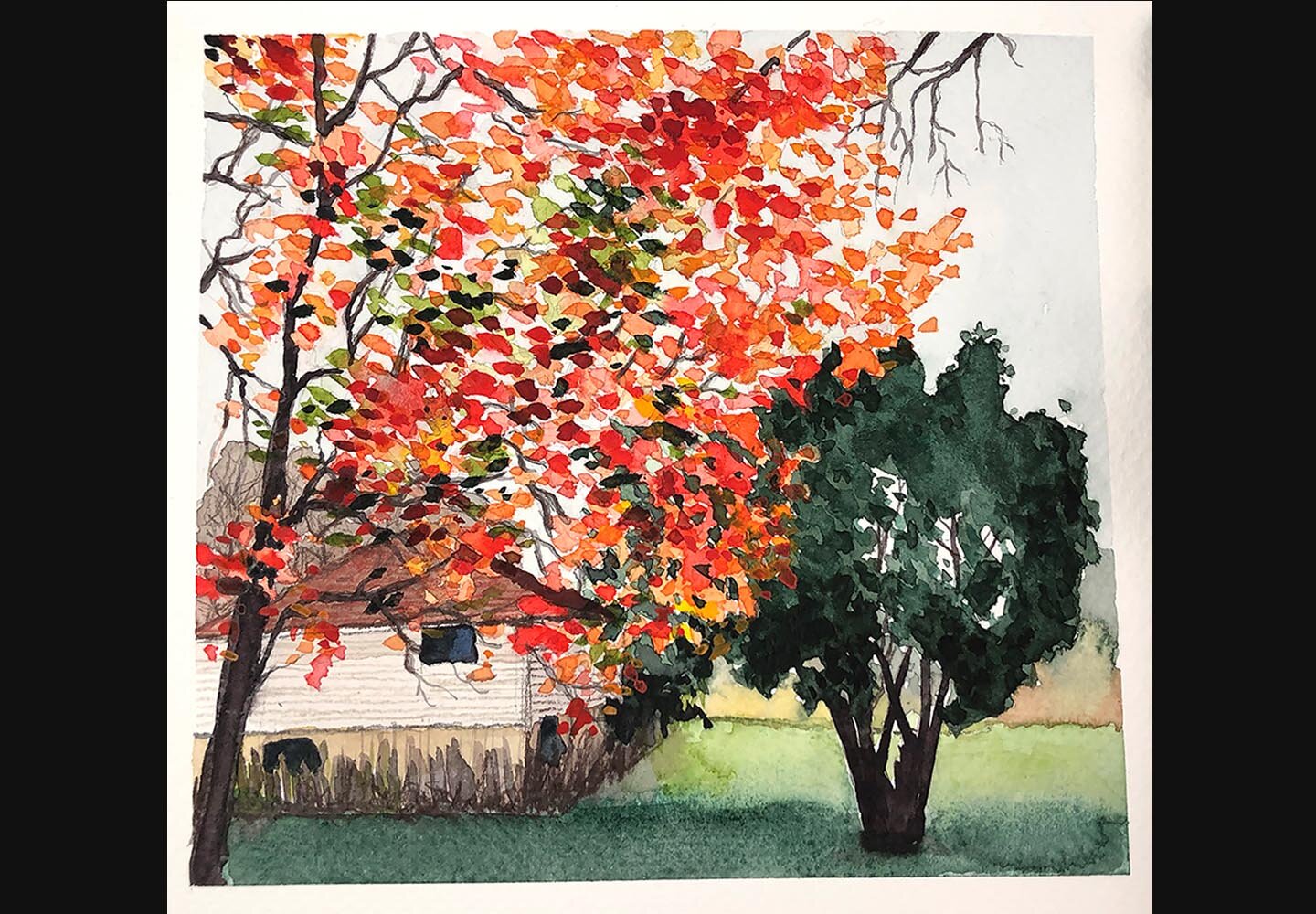 Sarah-M-Johnson-Art_Landscape_Delicate-Orange_Horizontal-Black_web-small.jpg