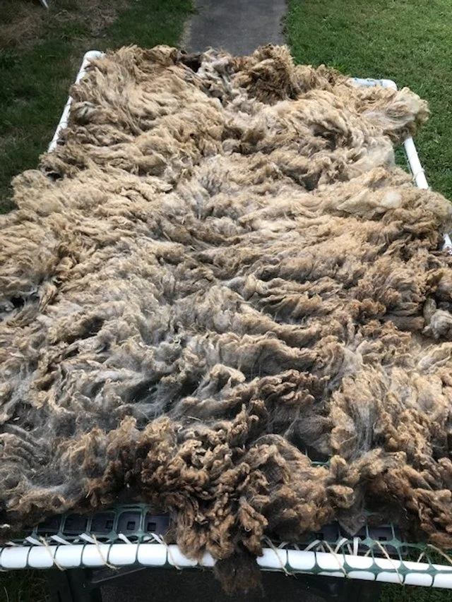 Workshop - So you bought a fleece, now what?