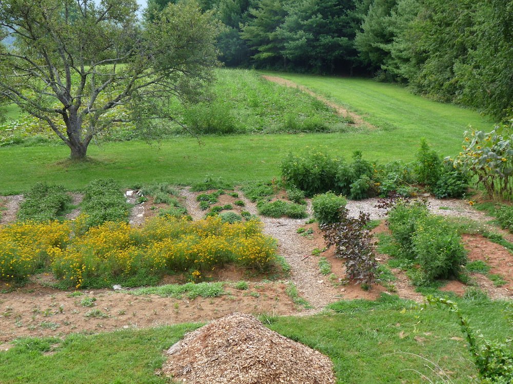 Wilder - grow your dye garden copy.JPG