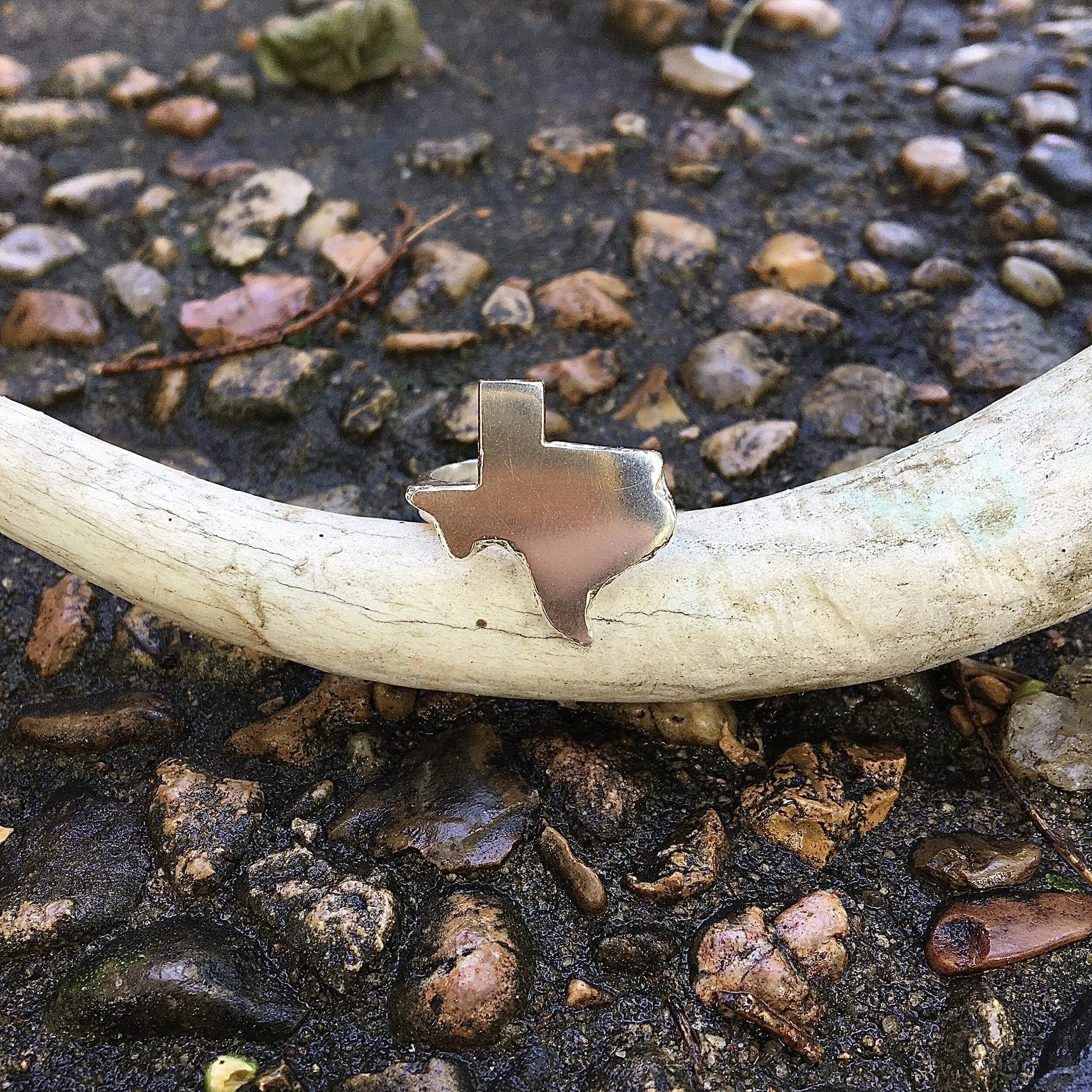 E8F74032-3499-43D7-A817-72393A2939BF