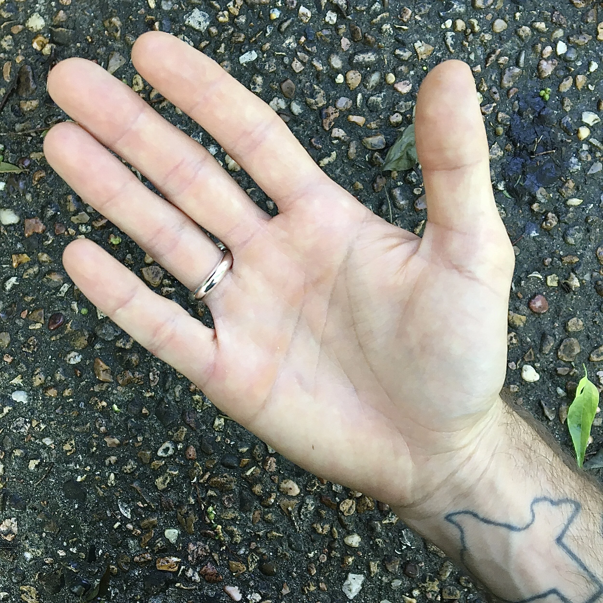 1A627049-DD37-4B0D-84B0-DB511C2F9D41