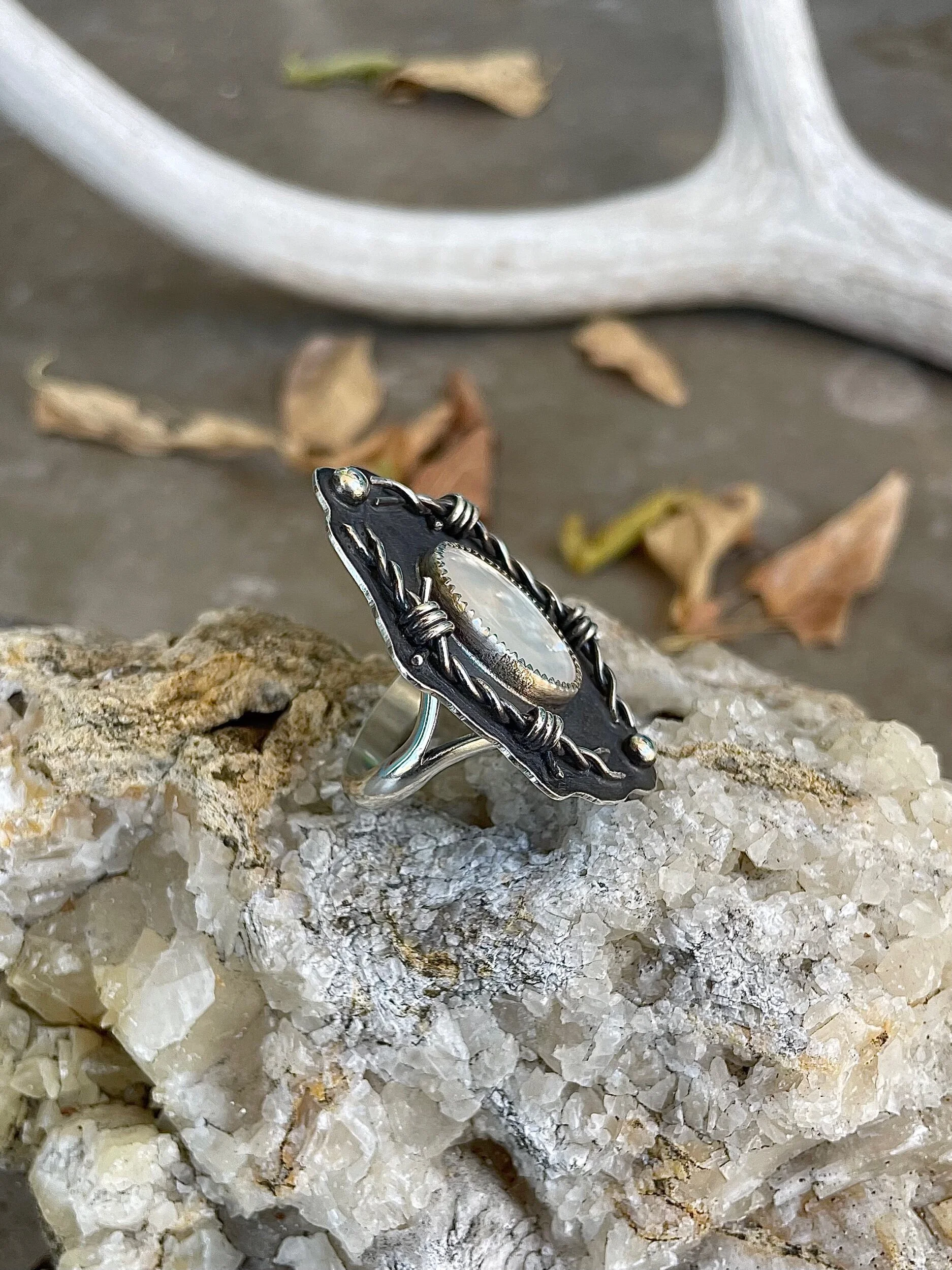 E56663BC-4B51-4589-A5E1-03306BBF13A5