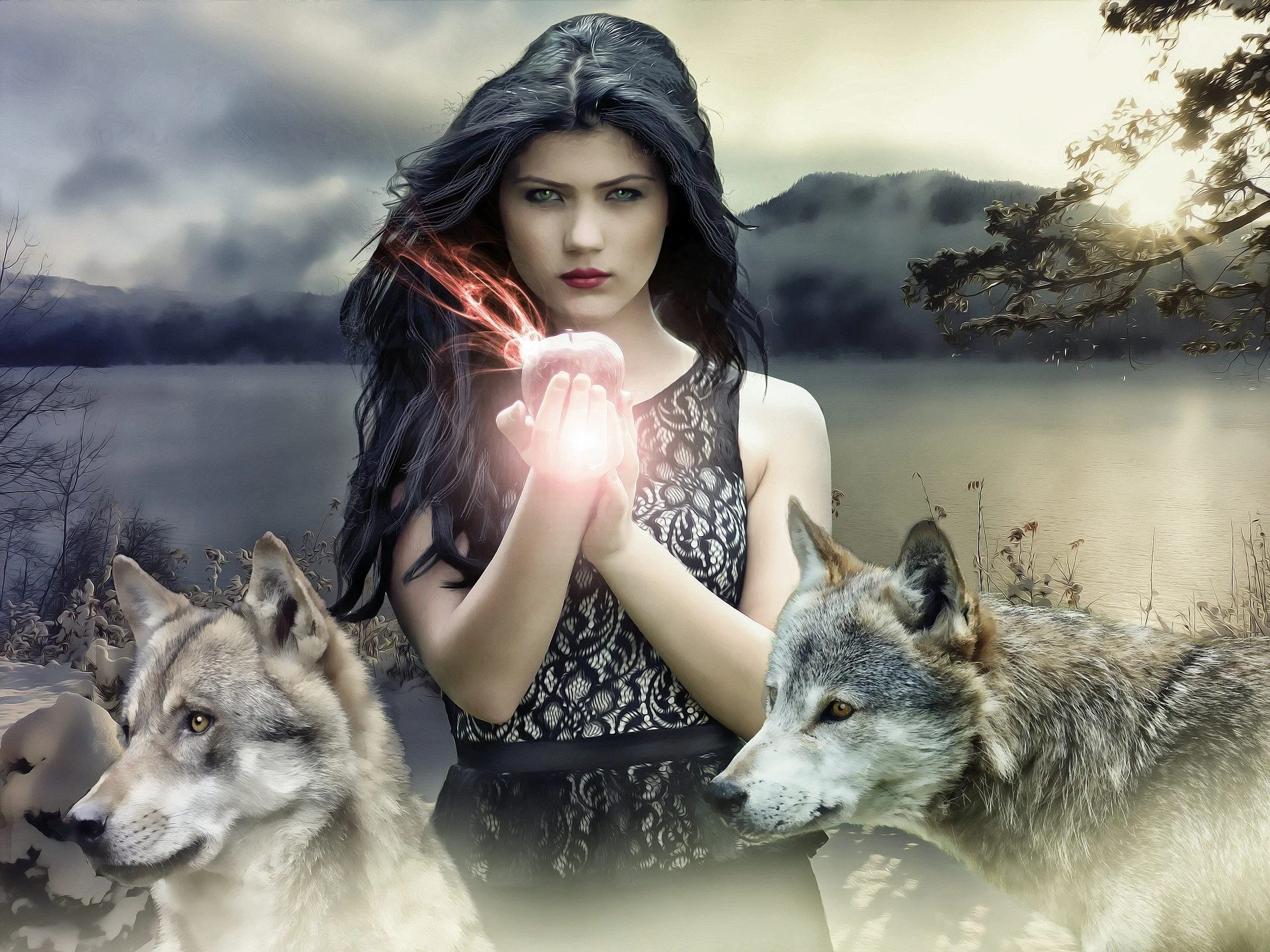 Two Wolves