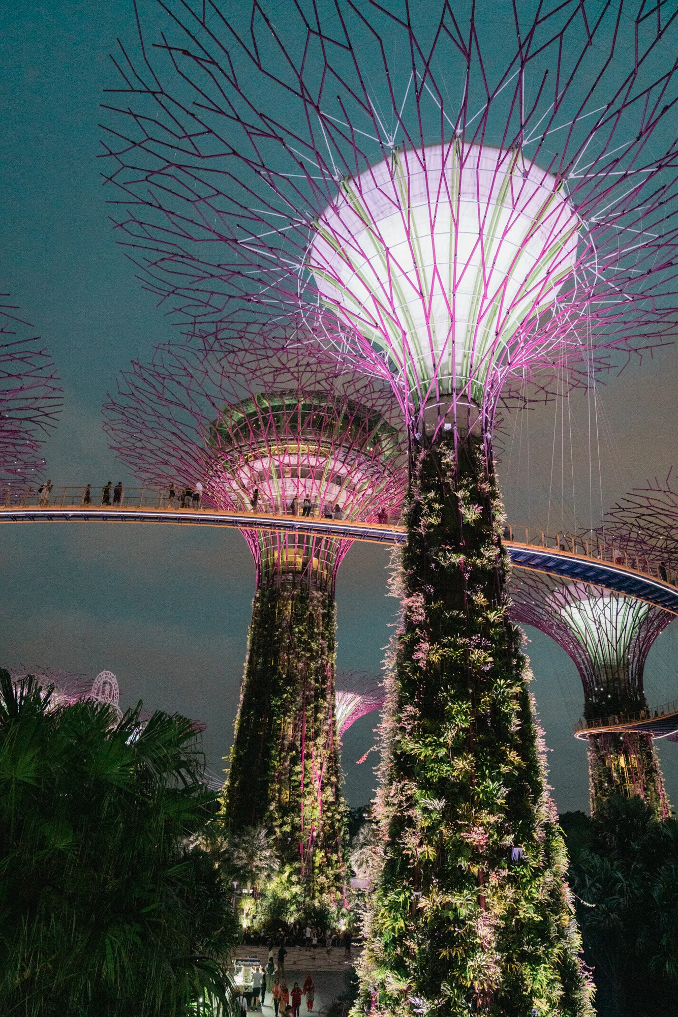 Kristen Furtado-1-2.jpg