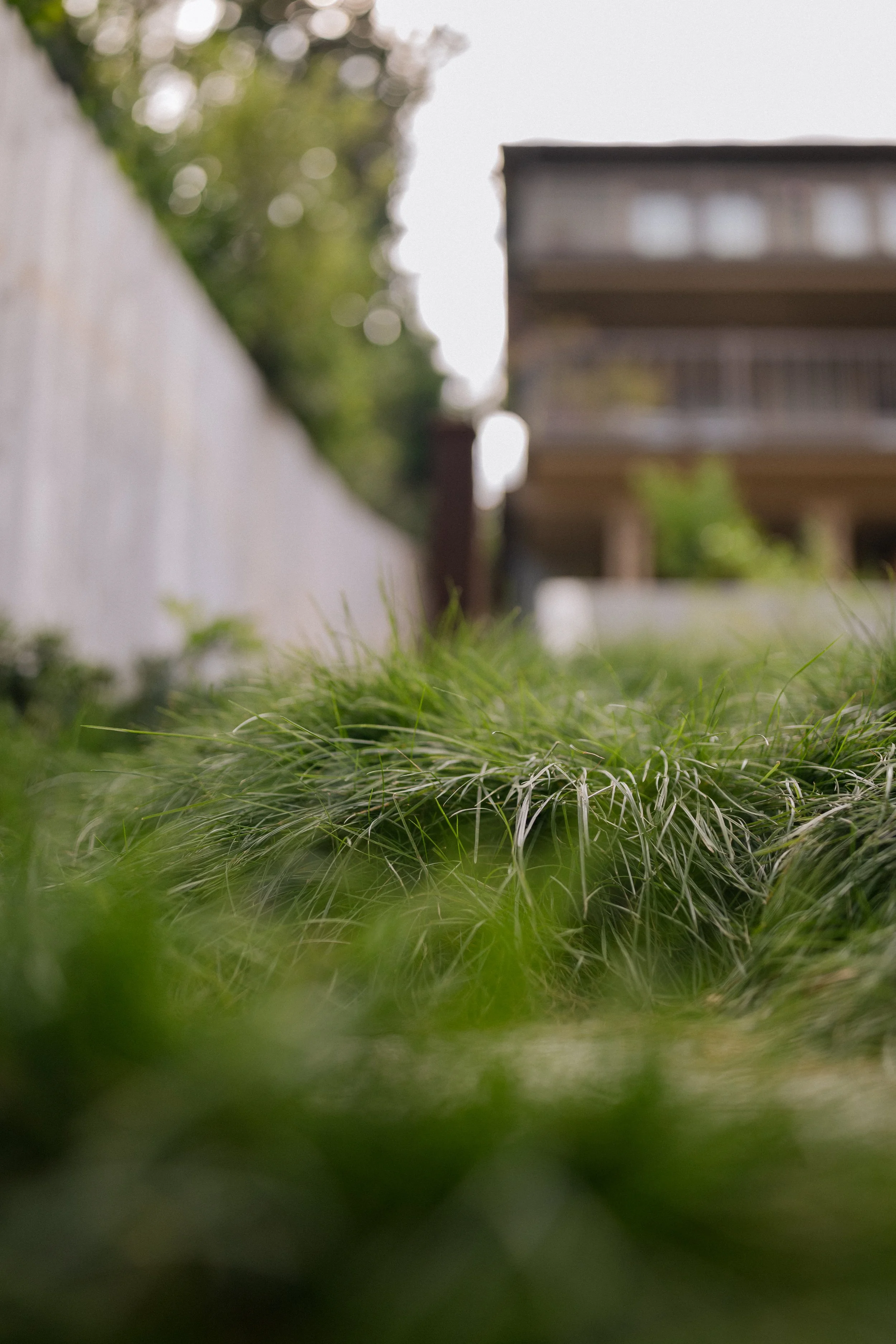 Contour Landscaping ~ Leece Residence_031.jpg