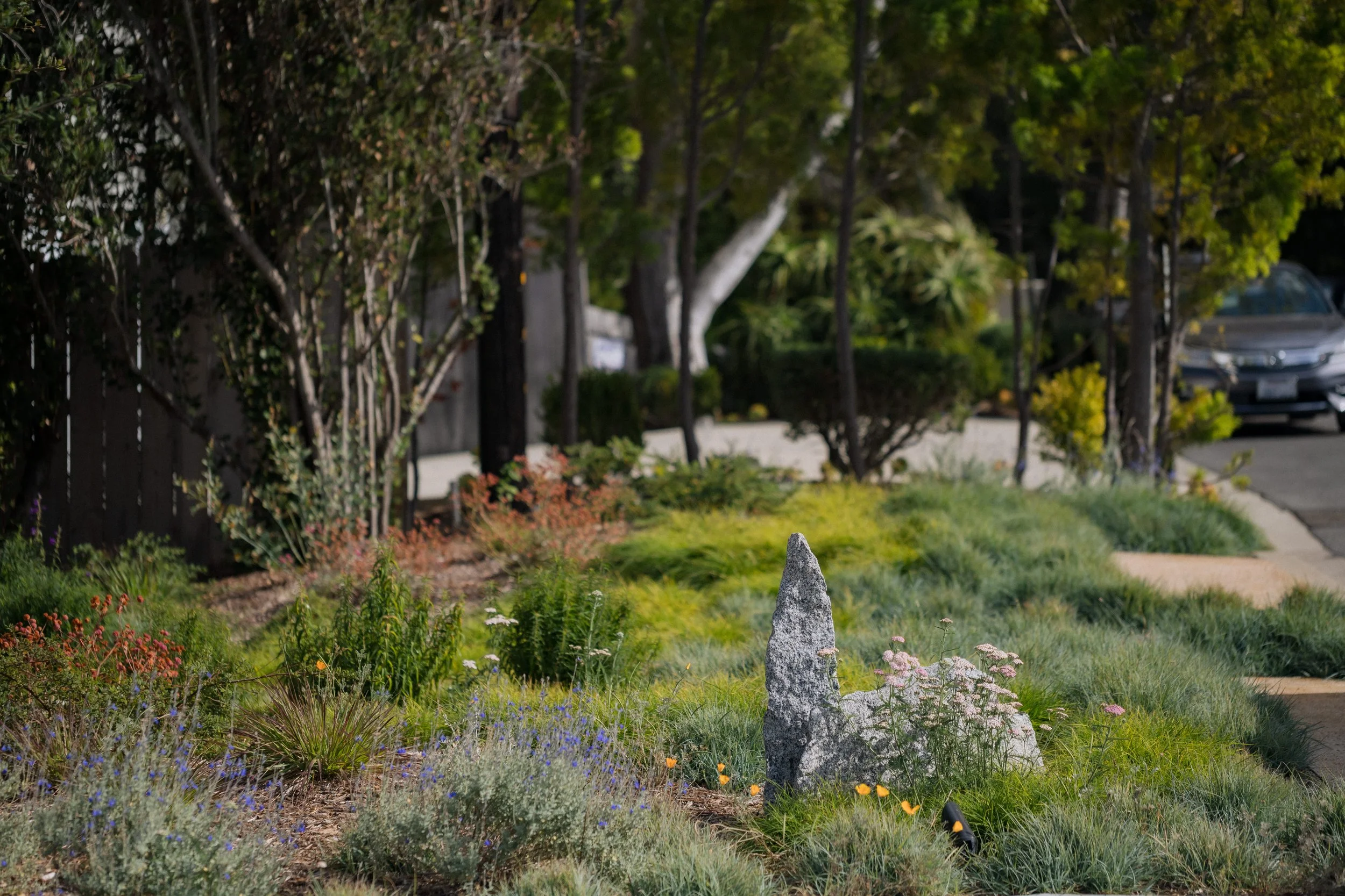 Contour Landscaping ~ Leece Residence_099.jpg