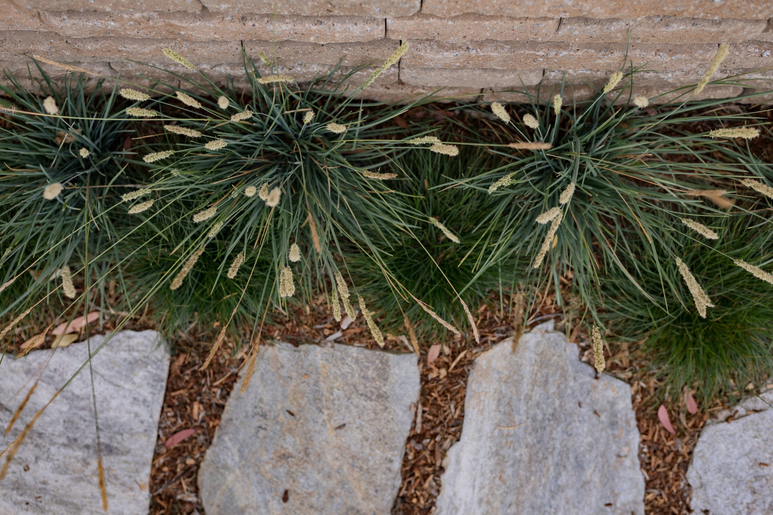 Contour Landscaping ~ Leece Residence_113.jpg